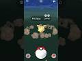 Catching Golden Yorkie in Pokémon Go #pokemongo