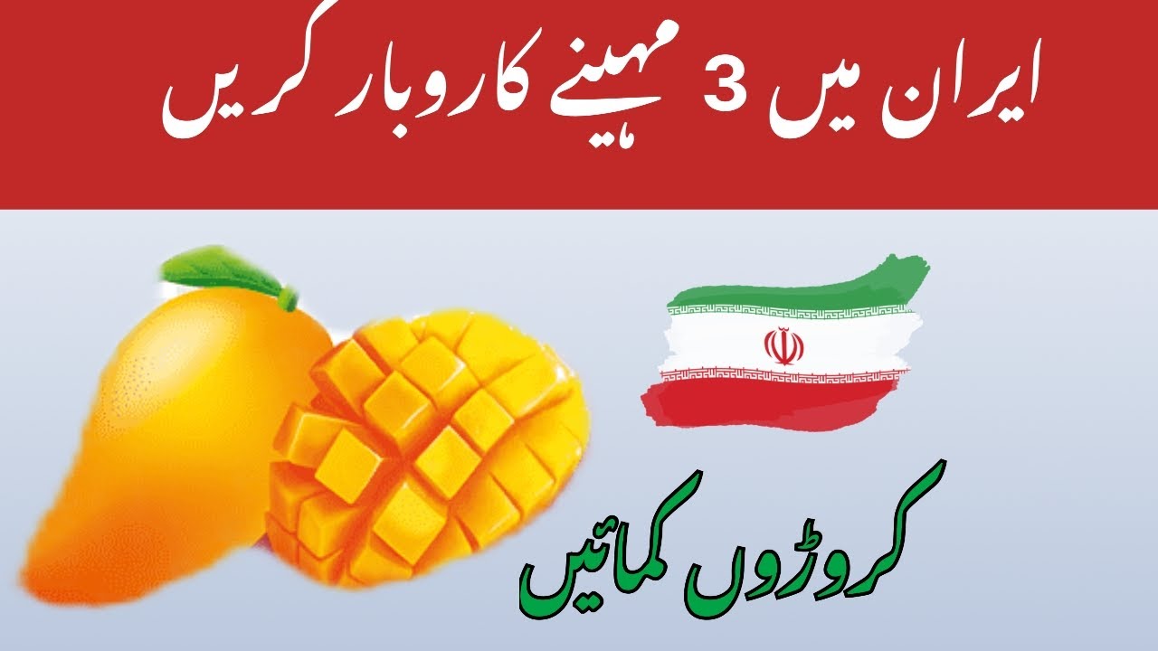 Mango Business In Iran High Profitable Business In Iran mango-business-in-iran-high-profitable-business-in-iran