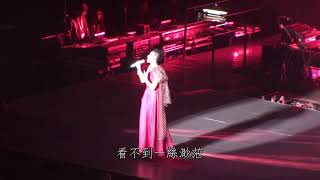 【巡唱】王菲 Faye Wong - 無常 Live 2010 (完整版)