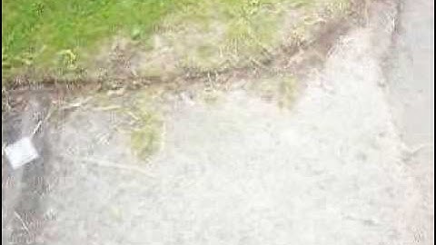 Constant velocity ( video)