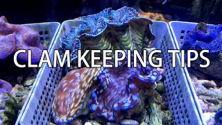 My Clam Keeping Learnings