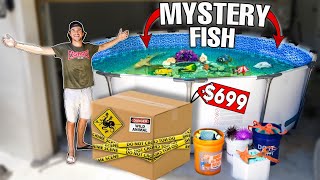 BUYING SEA CREATURE MYSTERY BOX for My SALTWATER POND! (Shopping Spree!)