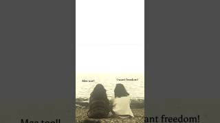 Freedom!? #shorts #ytshorts #trending #TheMoonlight