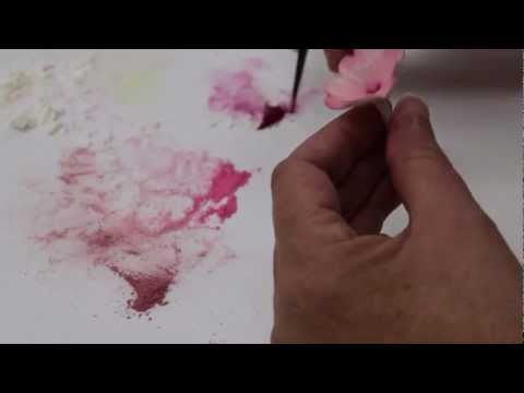 Dusting Your Gumpaste Cherry Blossom (Part 2/2)