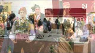 raices taustanas II avi