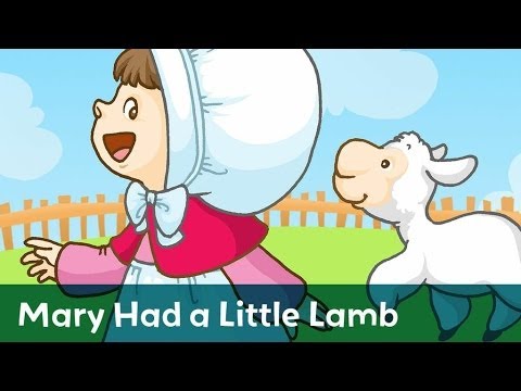 Sing Along: Mary Had a Little Lamb with lyrics from Speakaboos