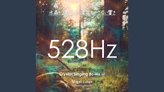 DVD-AUDIO Resonance Meditation/ ゴング・グラダグ DVD-AUDIO Resonance Meditation/ ゴング・グラダグ - メルカリ