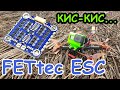 FETtec ESC 45A 4in1: Прошивка, настройка режимов старта, телеметрия и полеты