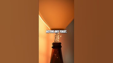 Fermentation Fun Balloon Science