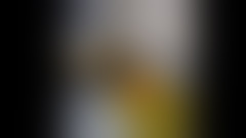 COREX™ Bone Harvester | Proximal Tibia