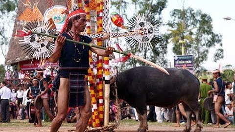 Lễ đâm trâu của người đồng bào Jrai, Việt Nam | Buffalo stabbing ritual of the Jrai people, VN.