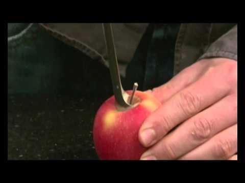 Как быстро удалить сердцевину из яблока