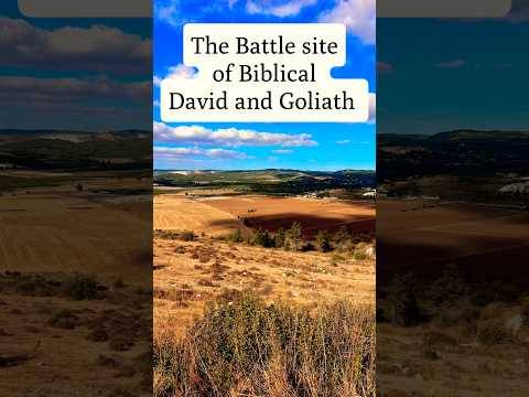 The Battle site