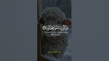 عينا يشرب بها المقربون // ما تيسر من #سورة_المطففين -الآية 28 🎧🎧