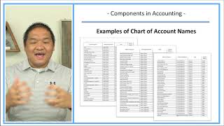 Learn Debits and Credits Series  Lesson 2  Understanding Components vs Accounts