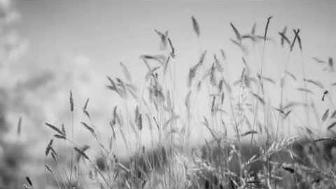 Fuji XT1 Infrared Timelapse