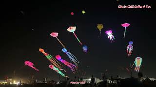 Lễ hội diều khổng lồ (LED Kite) Chờ iu Chill Phước Hải, BRVT 23-25/03/2024