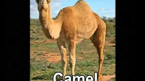 VCP-Sem2-Unit2-Acti2-23122014-Part-1