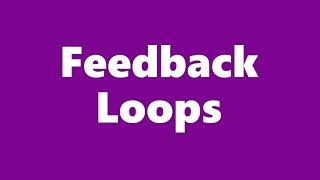 A&P Ch 2: Feedback Loops