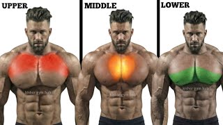 Full Chest Workout Upper, Middle & Lower Chest Training