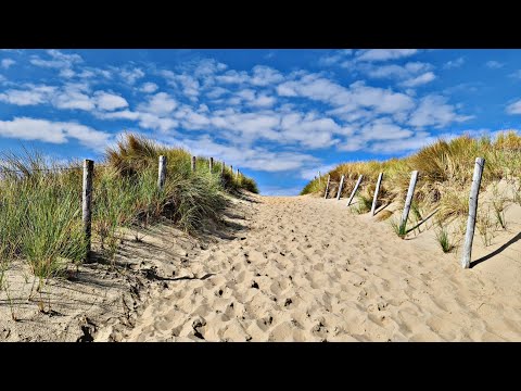 Trip to Zandvoort, Netherlands 🇳🇱