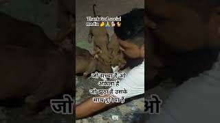 tag your animal ❤️ thanx social media 🤌 #animallovers #dog #saheb