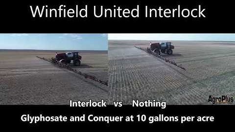 Interlock