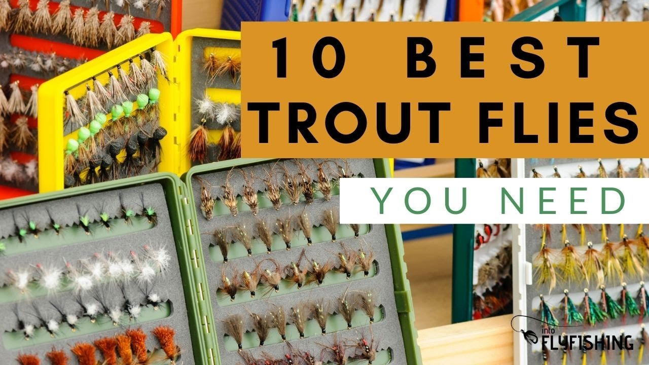 10 Best Trout Flies For Fly Fishing 
