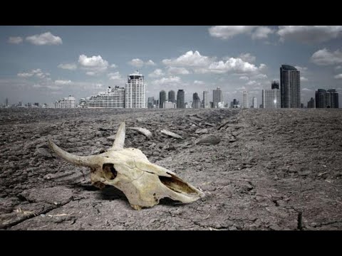 Видео: Ученые утверждают, что Земля находится в шестом массовом вымирании