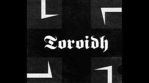 Toroidh - Those Who Do Not Remember The Past Are Condemned To Repeat It CD/LP (205 Recordings 2001)