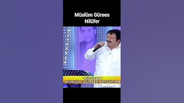 Thumbnail of Müslüm Gürses - Nilüfer #müslümgürses #nilüfer #murathanmungan #sunayözgür