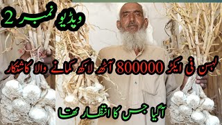 Garlic farming in Pakistan ay gia 800000 pr acer????????