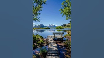 القرآن الكريم مشار بن راشد العفاسي #اكسبلور #اكسبلورر #فولو