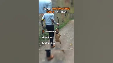 Funny DOGWALKING FAILS Ranked Shorts Ranked Funny 