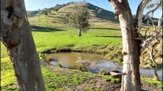 'Koetong Views', Koetong Creek Track, Bungil