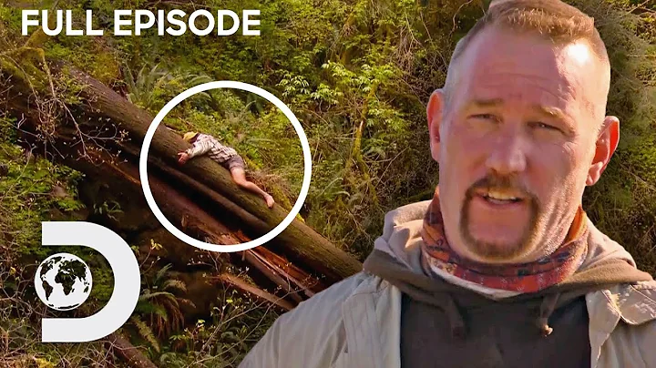 Dave & Cody Survive Gruelling Rainforest | Dual Survival FULL EPISODE - DayDayNews