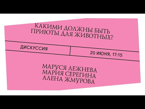 Видео: Приют для животных празднует выздоровление собаки с конкурсом, чтобы угадать ее породы