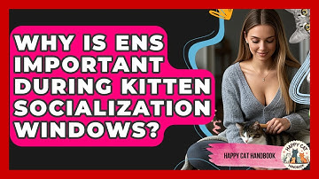 Why Is ENS Important During Kitten Socialization Windows? - Happy Cat Handbook