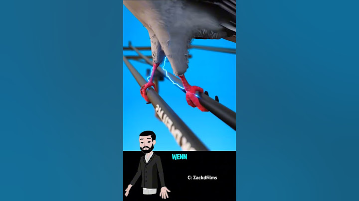 Stromschlag auf Leitungen bekommen! ⚡🦜