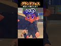 みんなフェス何を1番頑張ったー??? #スプラトゥーン3 #サーモンラン #splatoon3 #ゲーム実況 #スプラ3 #グランドフェス #ウルトラジャパン #ultrajapan