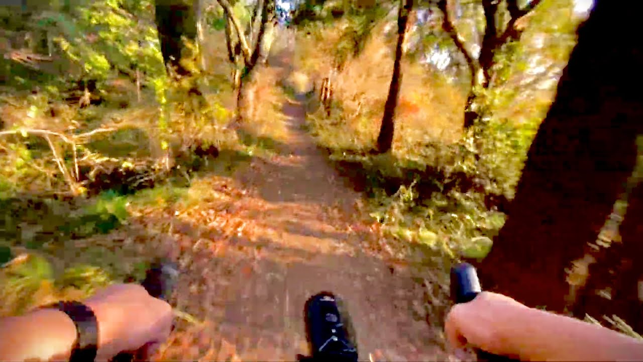 秋のほっこり野山自転車散歩（KONA ROVE LTD） - YouTube