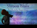 Shroom Blues: Music + Visuals [Chill, Ambient, Psychedelic, Funk, Rock]