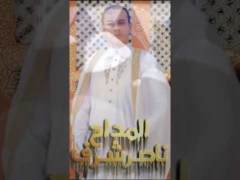 على باب سيدنا الحسين المداح ناصر شرف يبدع بصوته