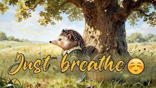 Springtime with the Hedgehog Gardener 🌷 | Relaxing Celtic Music & Cozy Vibes
