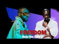 AKON FEAT MAÎTRE GIMS FREEDOM mp3