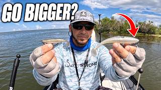 When to Upsize Your Lures for Fall Redfish (And When NOT To)
