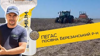 Березанський район і посівна гібриду Пегас