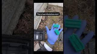 This is how infestations start… Rodent bait stations are used to monitor and control rodent