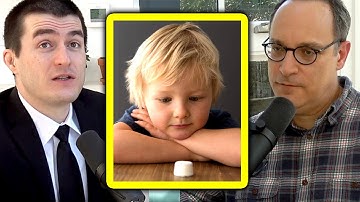 Dopamine and Reinforcement Learning (Matt Botvinick) | Lex Fridman