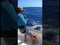 Giant Marlin Fight! #fishing #videofishing #fishinglife #fypシ゚viral